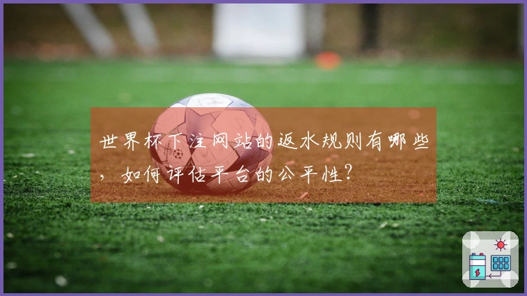 世界杯下注网站的返水规则有哪些，如何评估平台的公平性？