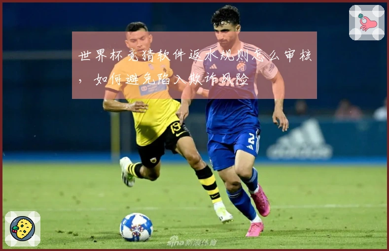 世界杯竞猜软件返水规则怎么审核，如何避免陷入欺诈风险