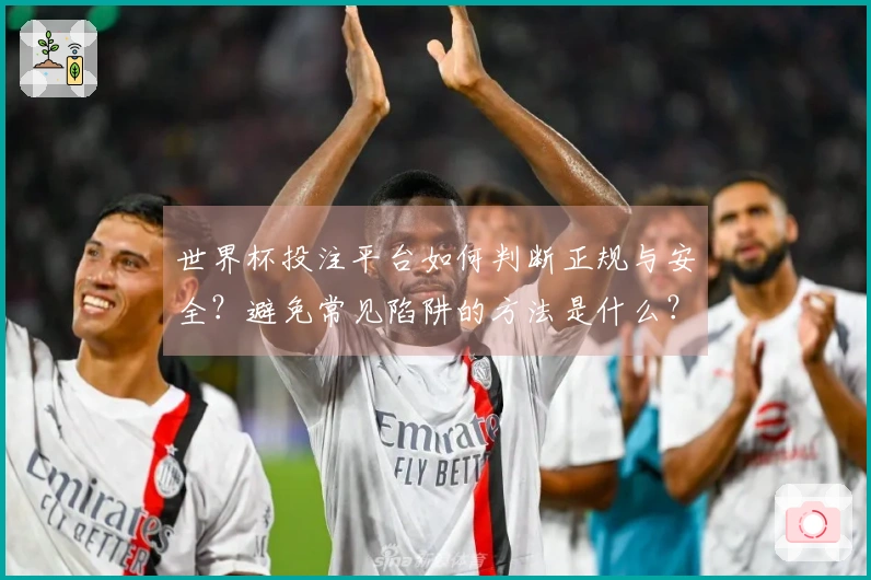 世界杯投注平台如何判断正规与安全？避免常见陷阱的方法是什么？