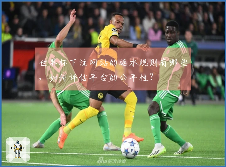 世界杯下注网站的返水规则有哪些，如何评估平台的公平性？