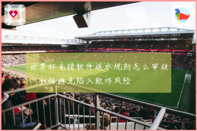 世界杯竞猜软件返水规则怎么审核，如何避免陷入欺诈风险