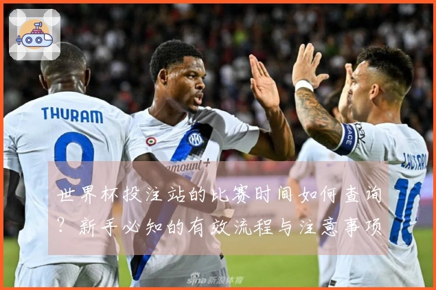 世界杯投注站的比赛时间如何查询？新手必知的有效流程与注意事项
